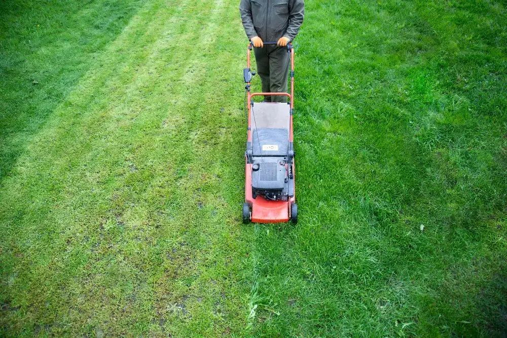 Preparing Your Lawn
