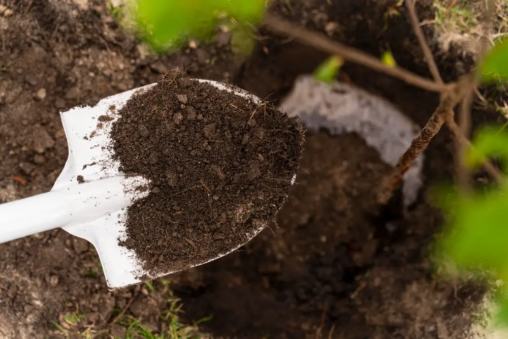 Preparing the Soil