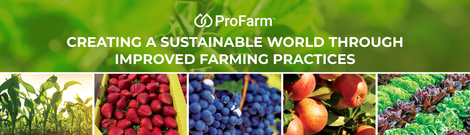 Pro Farm Group Company Growcycle