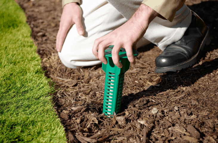Professional Termite Treatment Options