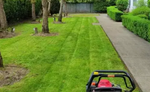 Prune and Trim for Healthy Growth