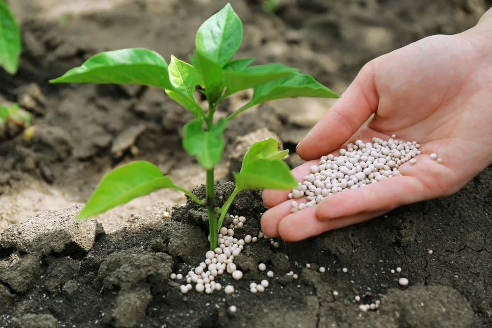 Boosting%20Soil%20with%20Natural%20Fertilizers.webp?1767986922609