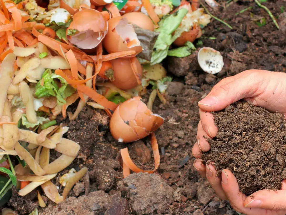 The%20Power%20of%20Composting.webp?1767986878193