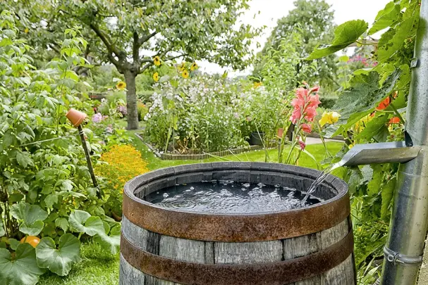 Rainwater Harvesting System Cost Professional