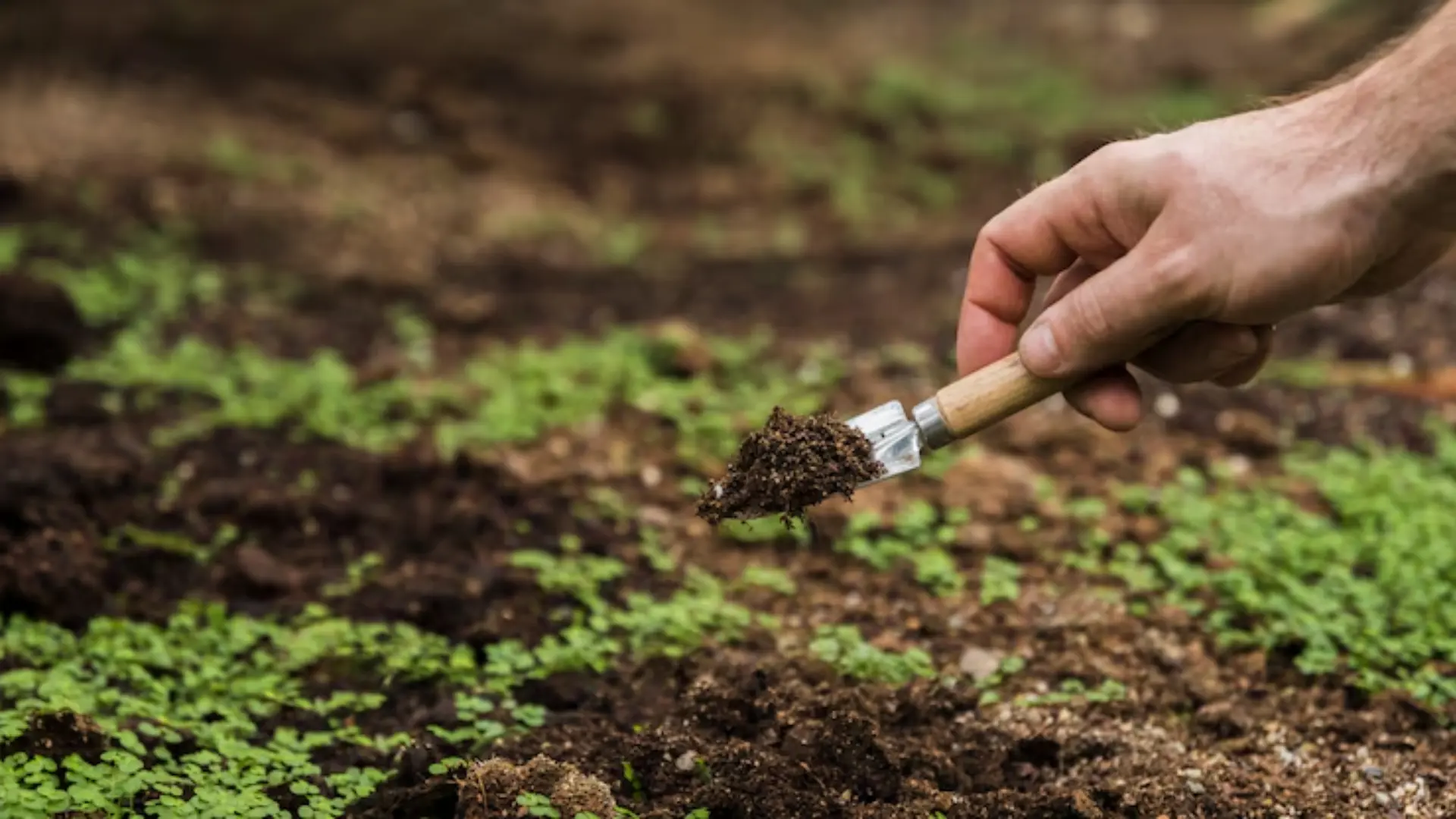Regenerative Farming