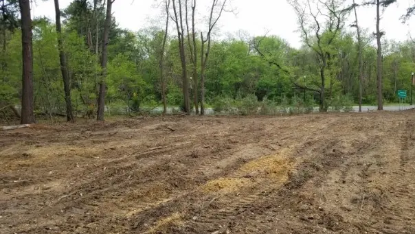 Removing Vegetation and Debris