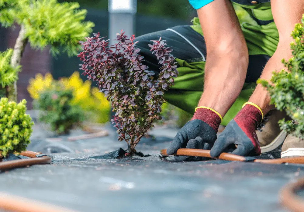 Residential Irrigation Professional