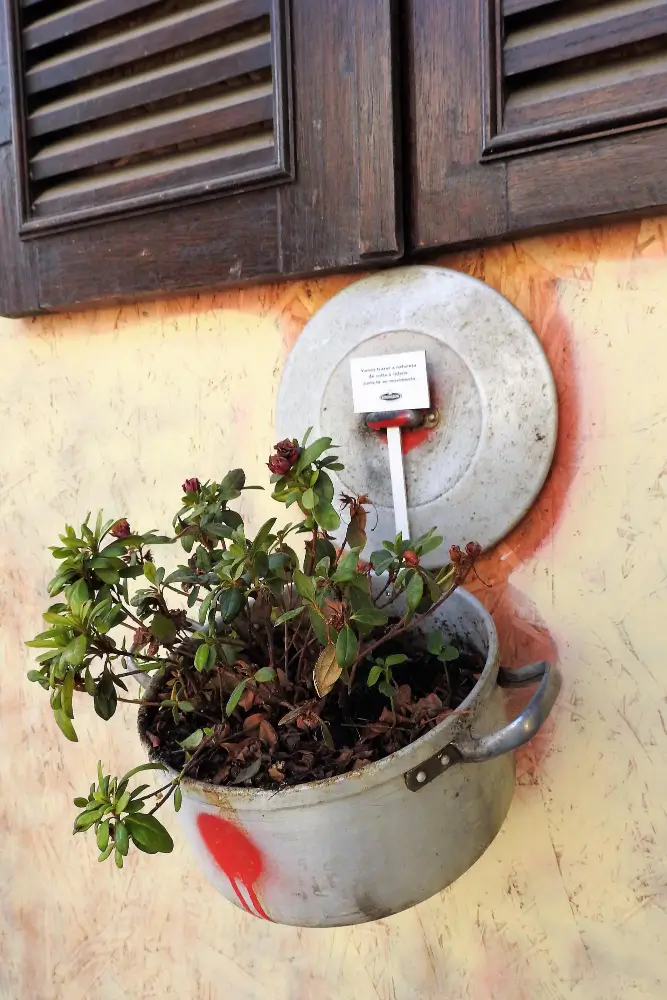 Reuse and Repurpose Materials Creatively