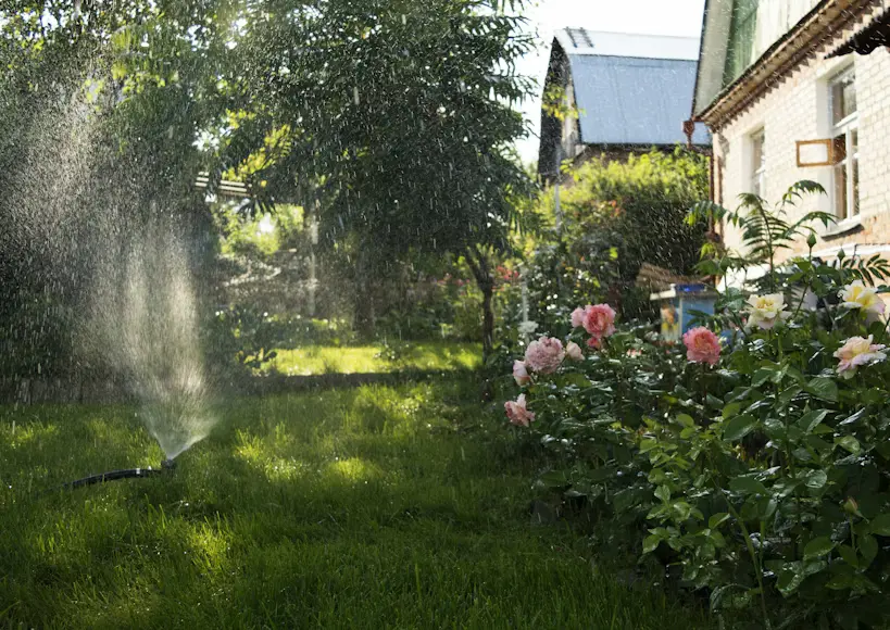 Right Watering Routine