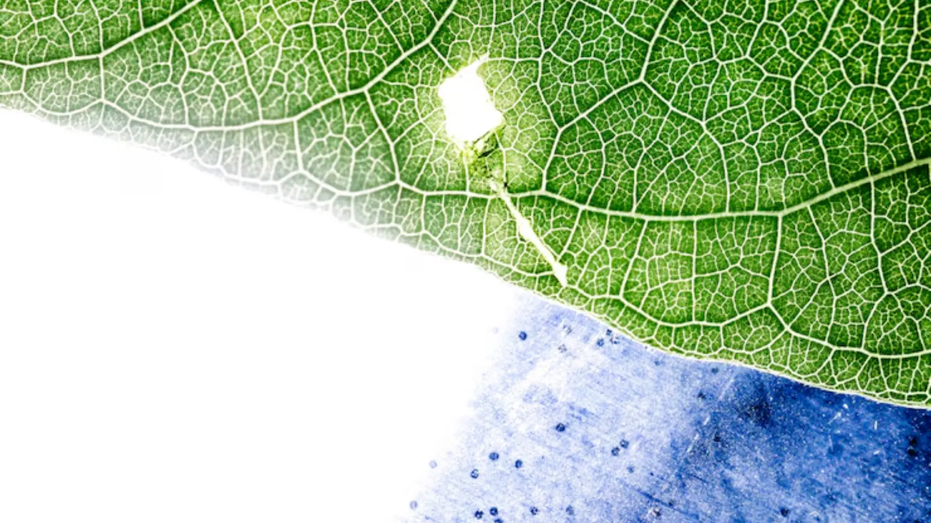 Role of Air Purification
