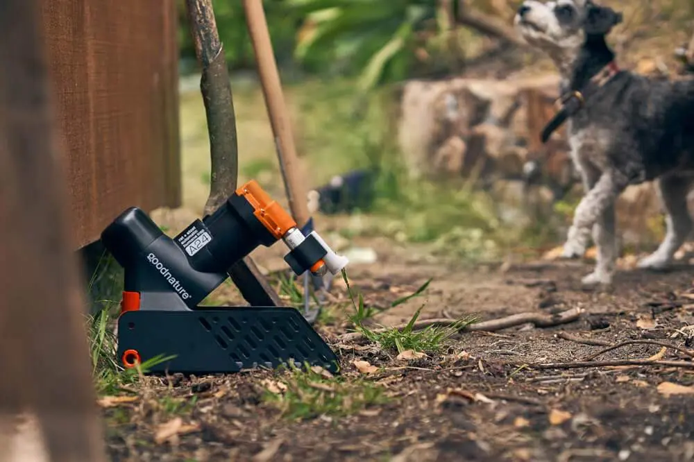 Safe Traps and Devices That Protect Pets