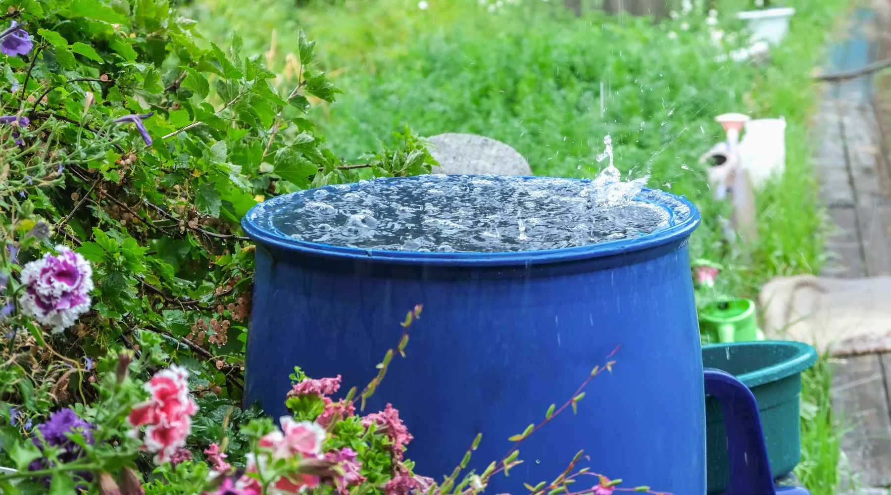 Small Garden Rainwater Solutions