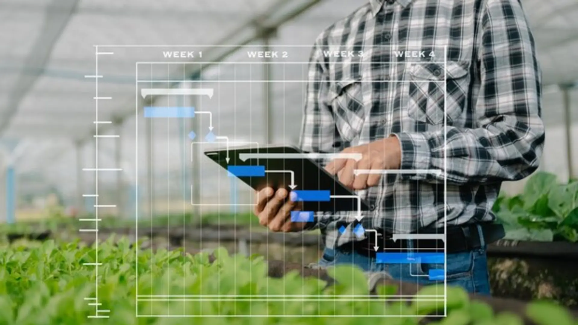 Smart Agriculture and Remote Monitoring