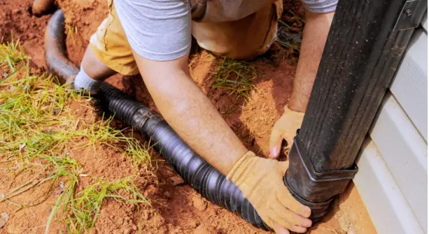 Soil Compaction and Poor Drainage Professional