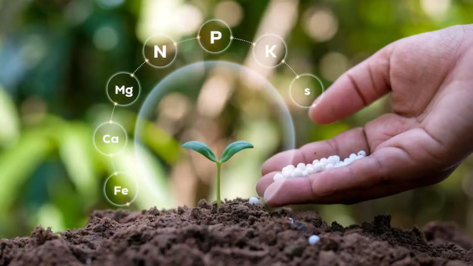 Soil Performance