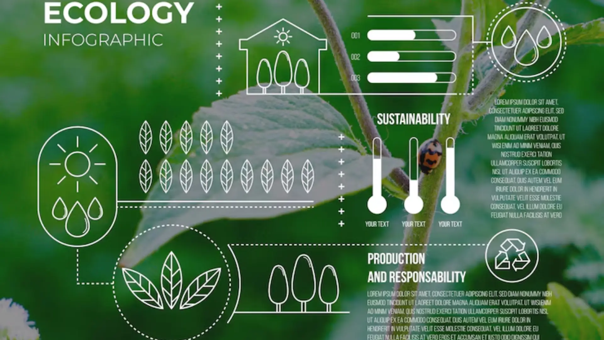 Solutions for Water, Nutrients