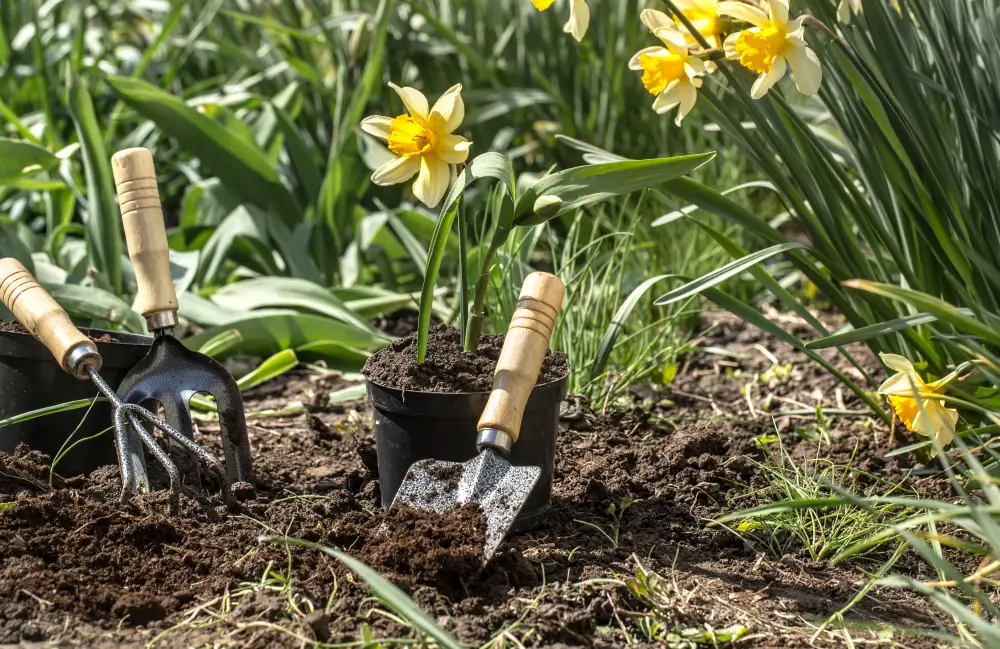 Spring Landscape Care