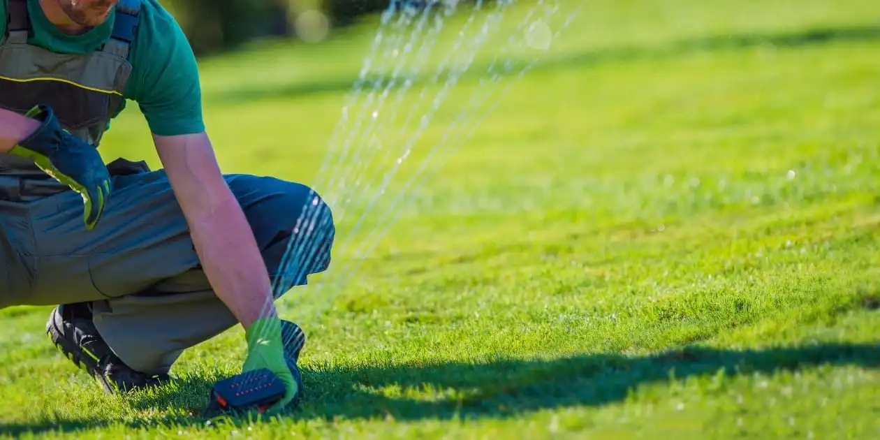 Sprinkler System Maintenance Professional