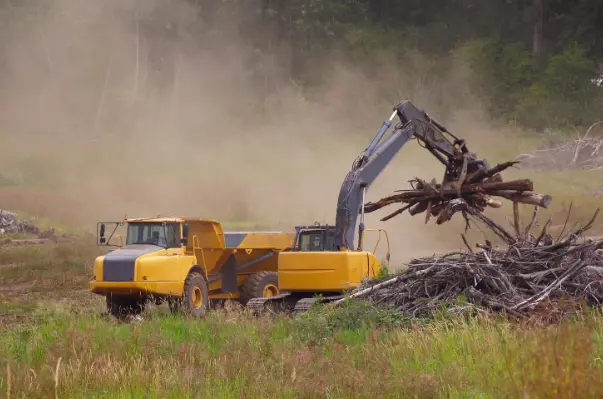Stump Grinders  
