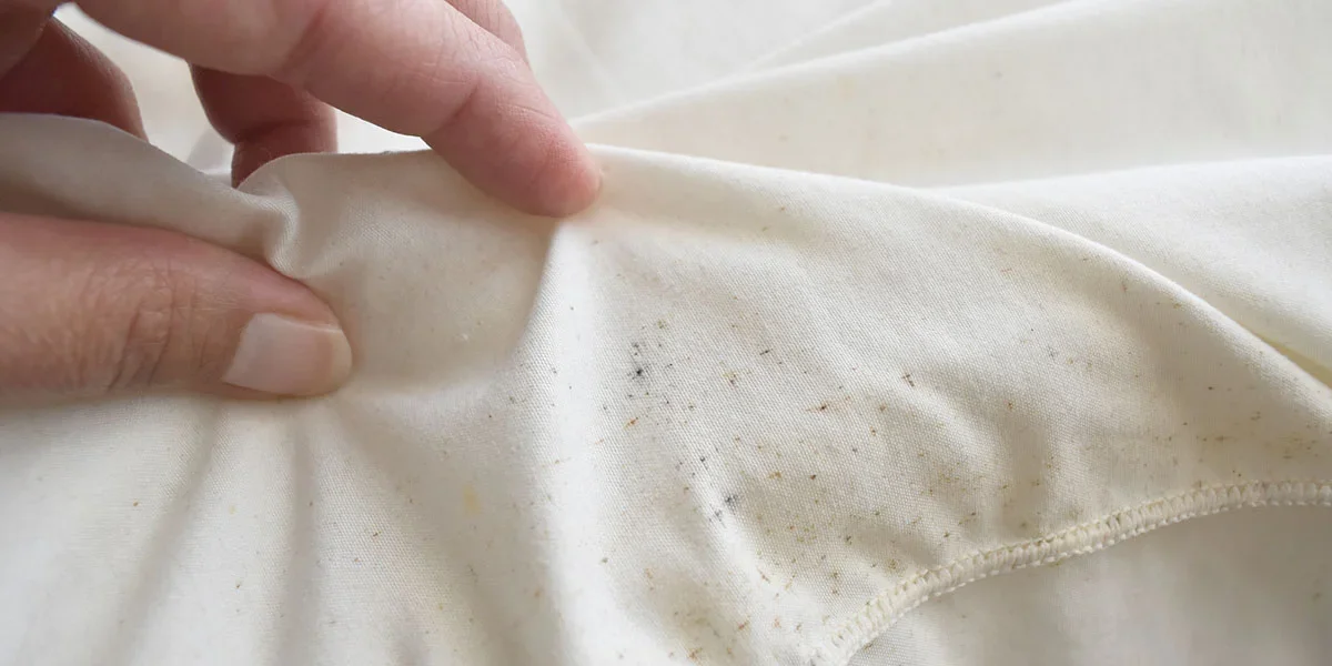 Symptoms of Bed Bugs