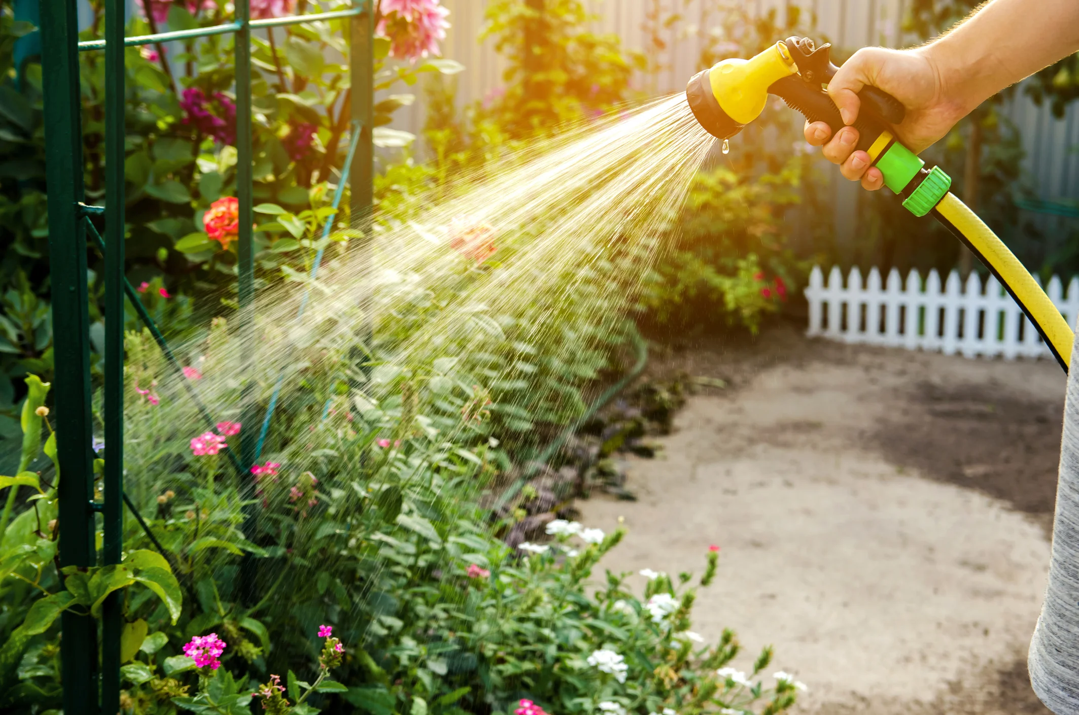 Techniques to Reduce Water Waste