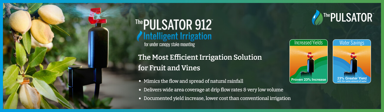 The%20Pulsator%20Article%201296X379.jpg?1745253876976