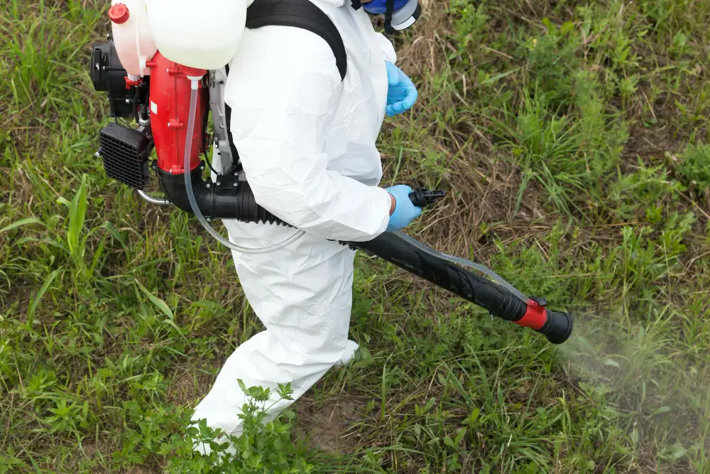 Tips for Lawn Recovery