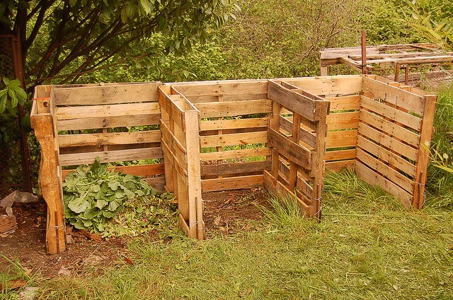 Tips%20to%20Speed%20Up%20Composting.webp?1770237126587
