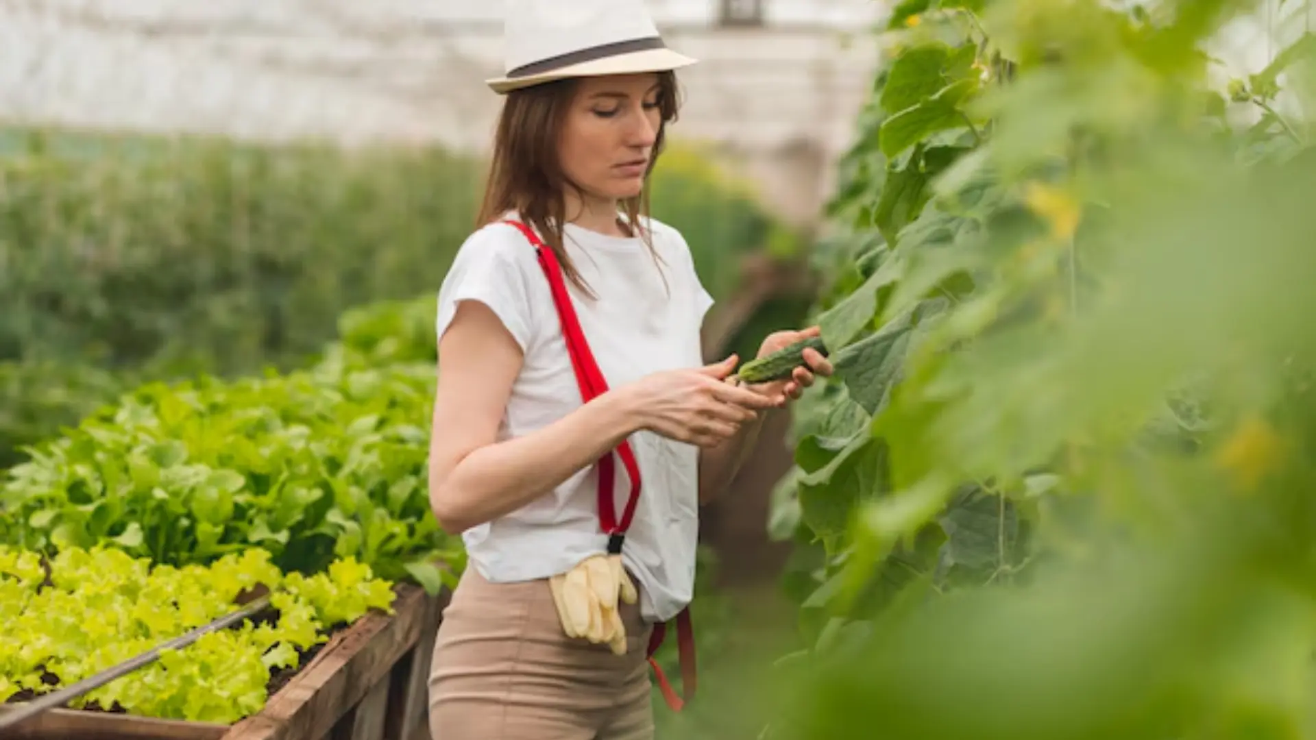 Transforming Agriculture