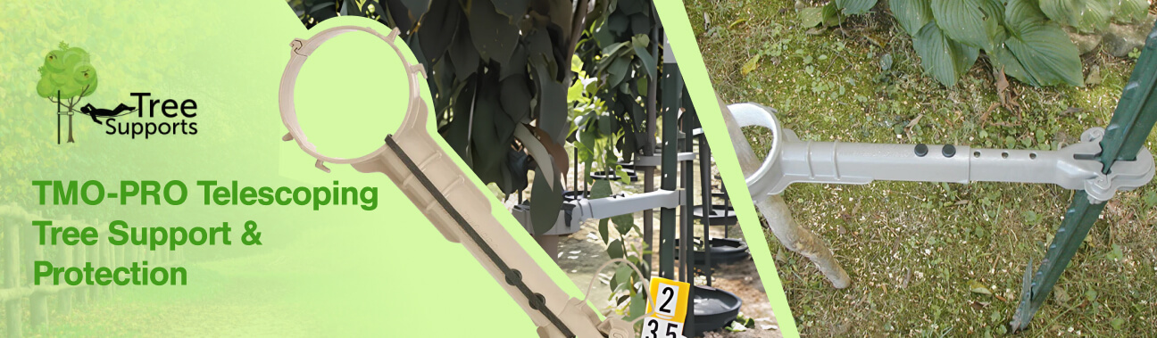 Treesupports%20-%20Article%20Banner-%201296x379.jpg?1755537429593