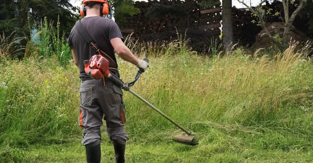 Trimming Around Trees