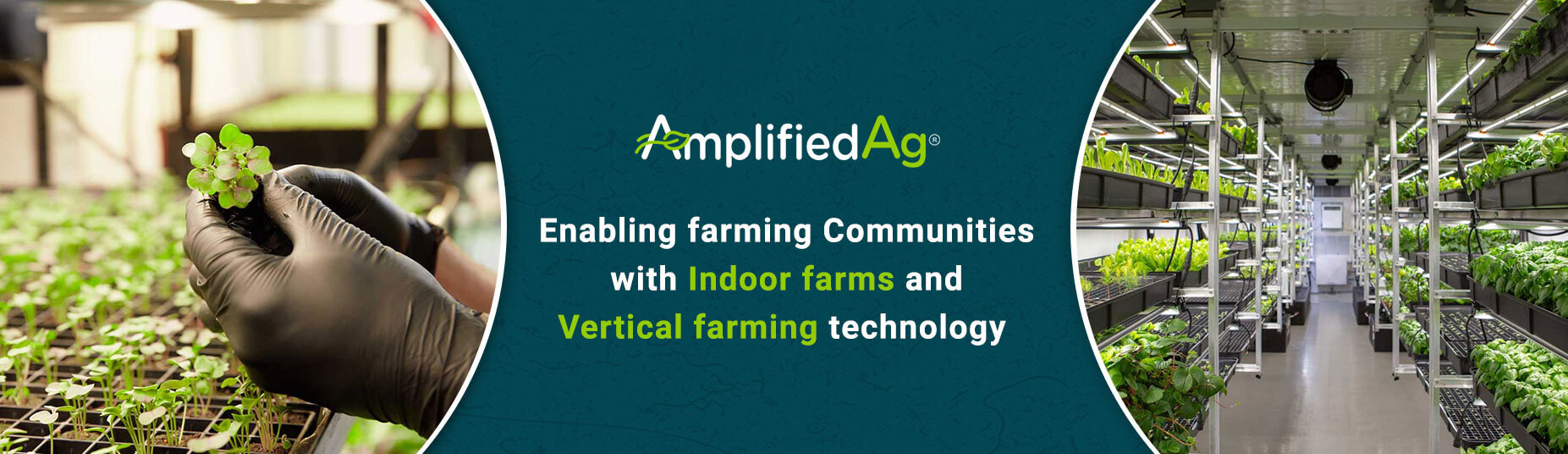 Updated-Amplified-Ag-Email-banners-1853x536.jpg?1720125592824