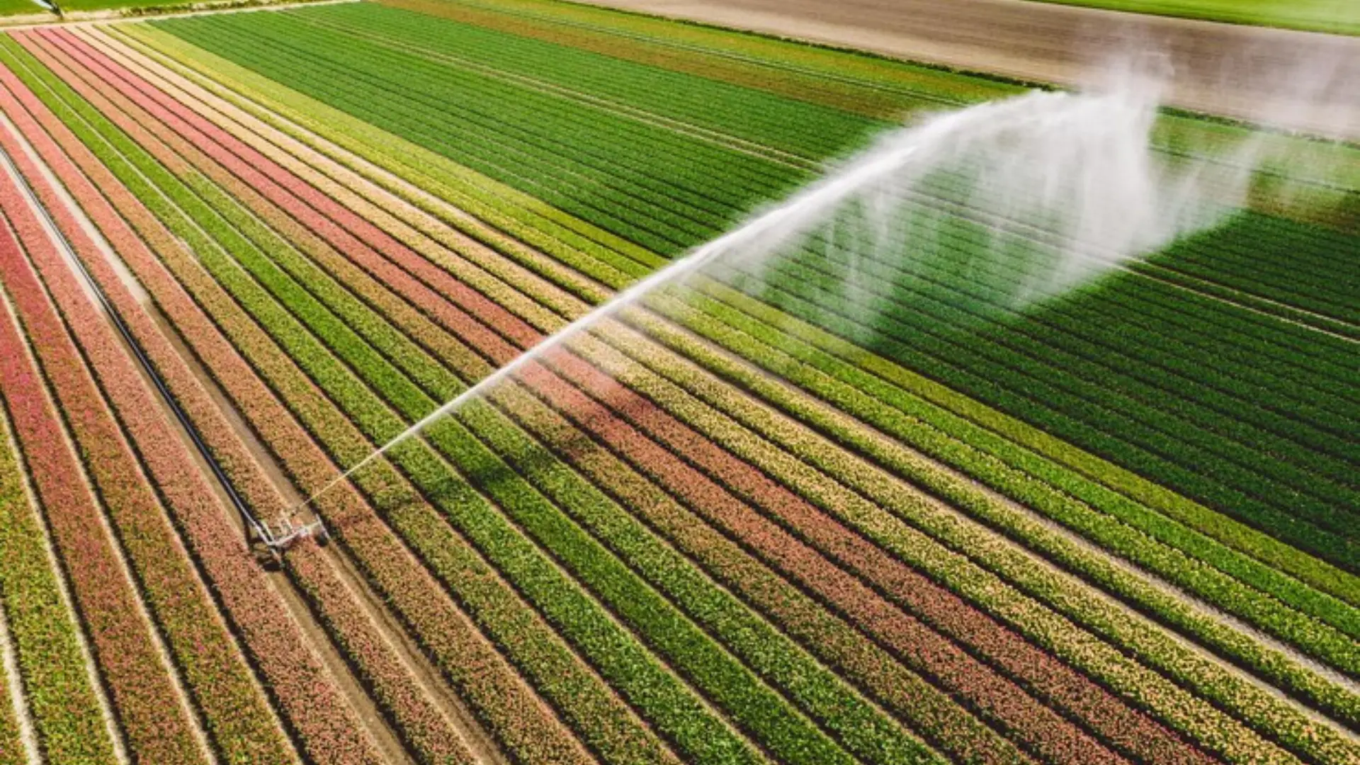 Vertical Growing Solutions