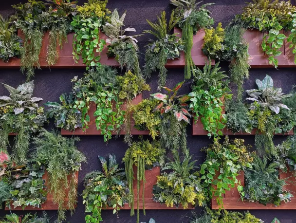 Vertical Space for Plants and Décor