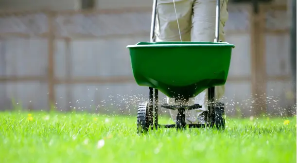 Water the Lawn Properly