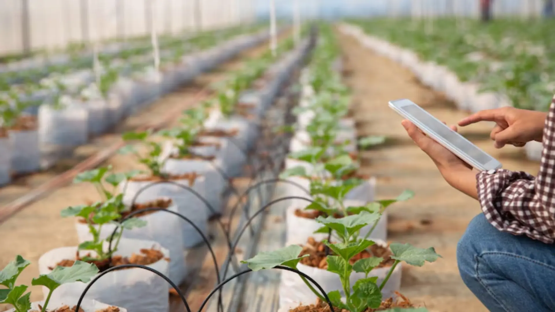 Water-Efficient Farming