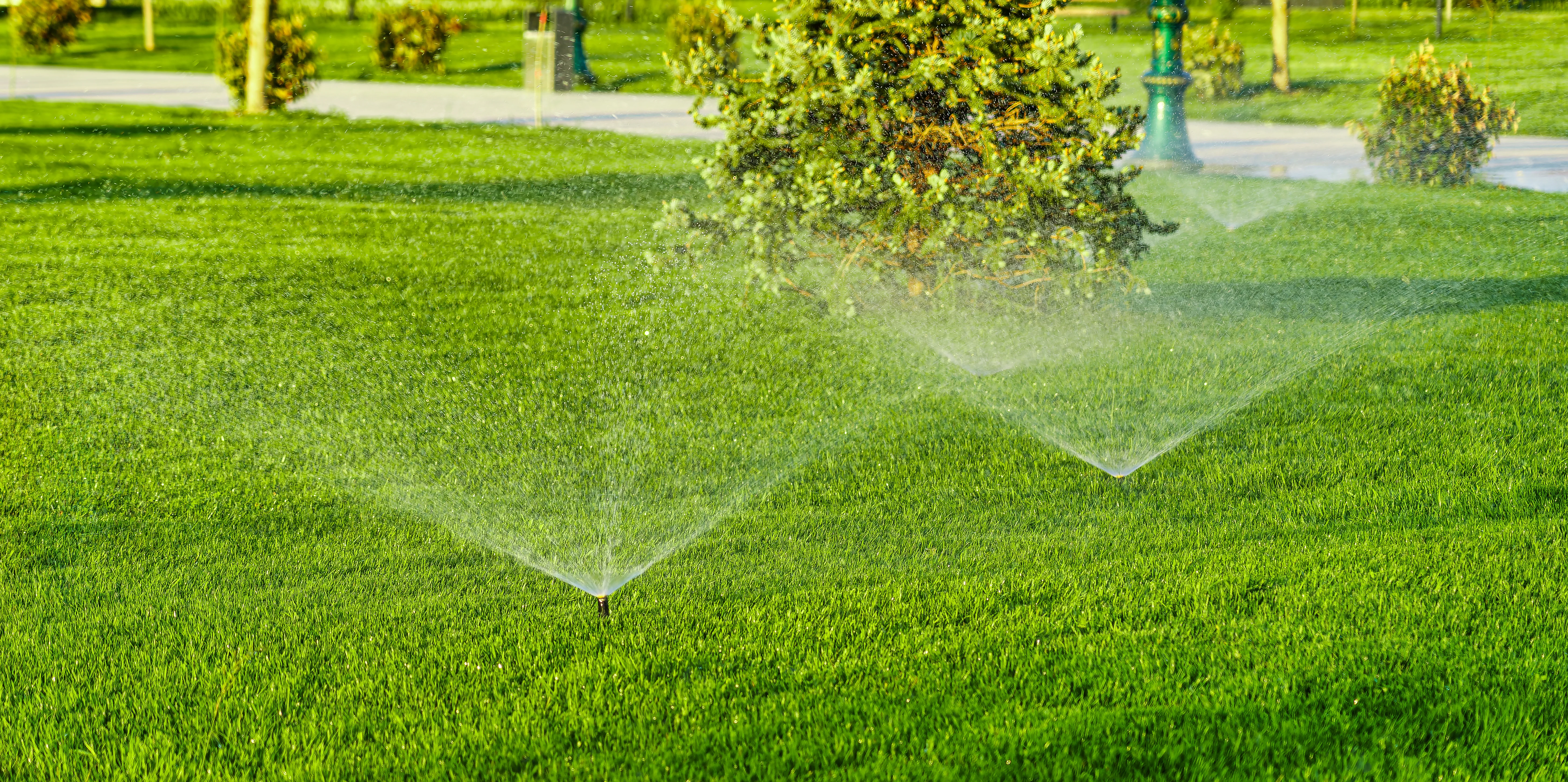 Watering Schedule Services for Grass