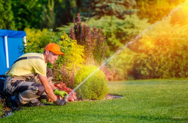 Watering Schedules