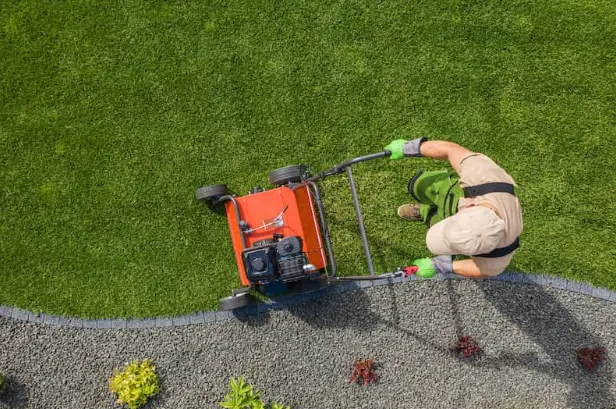 Hire a Lawn Aeration Professional