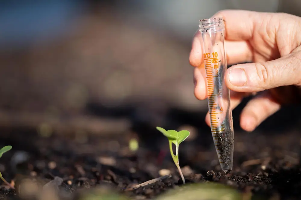 Year-Round Sustainability