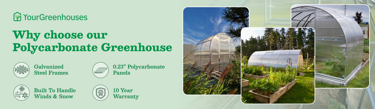 Your Green House