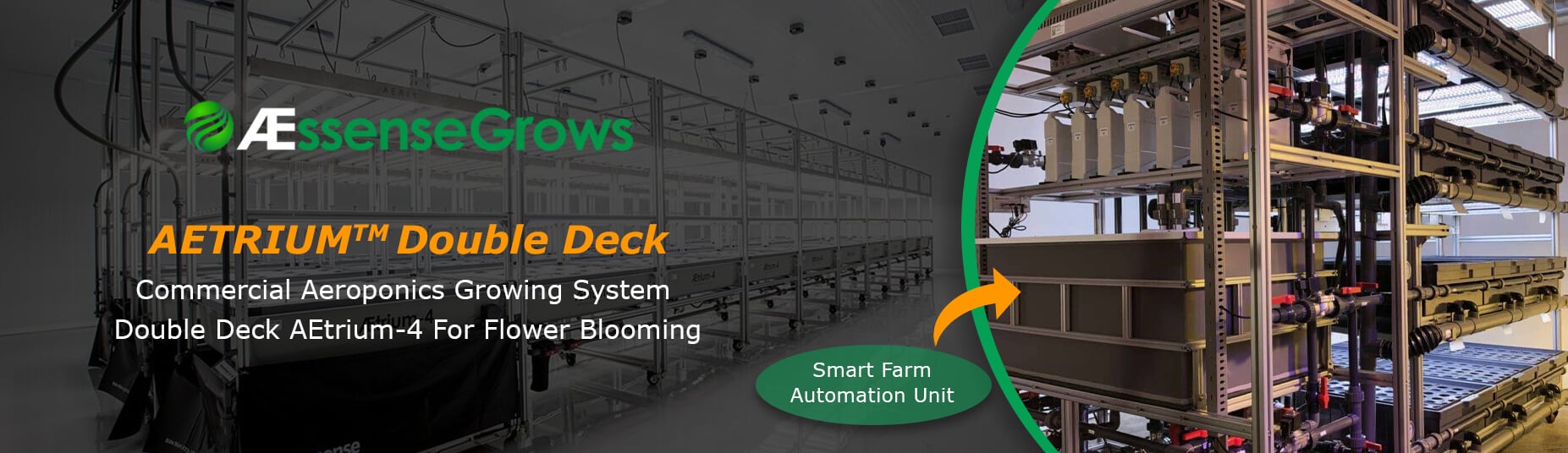 AEssenseGrows Company Growcycle