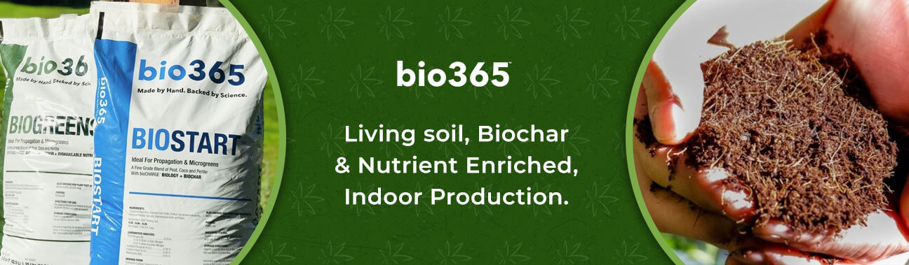 bio-365-article-banners-1296X379.jpg?1717097699068