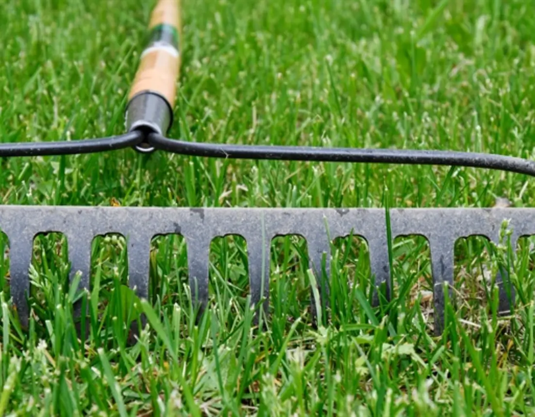 Dethatching Rakes and Tools