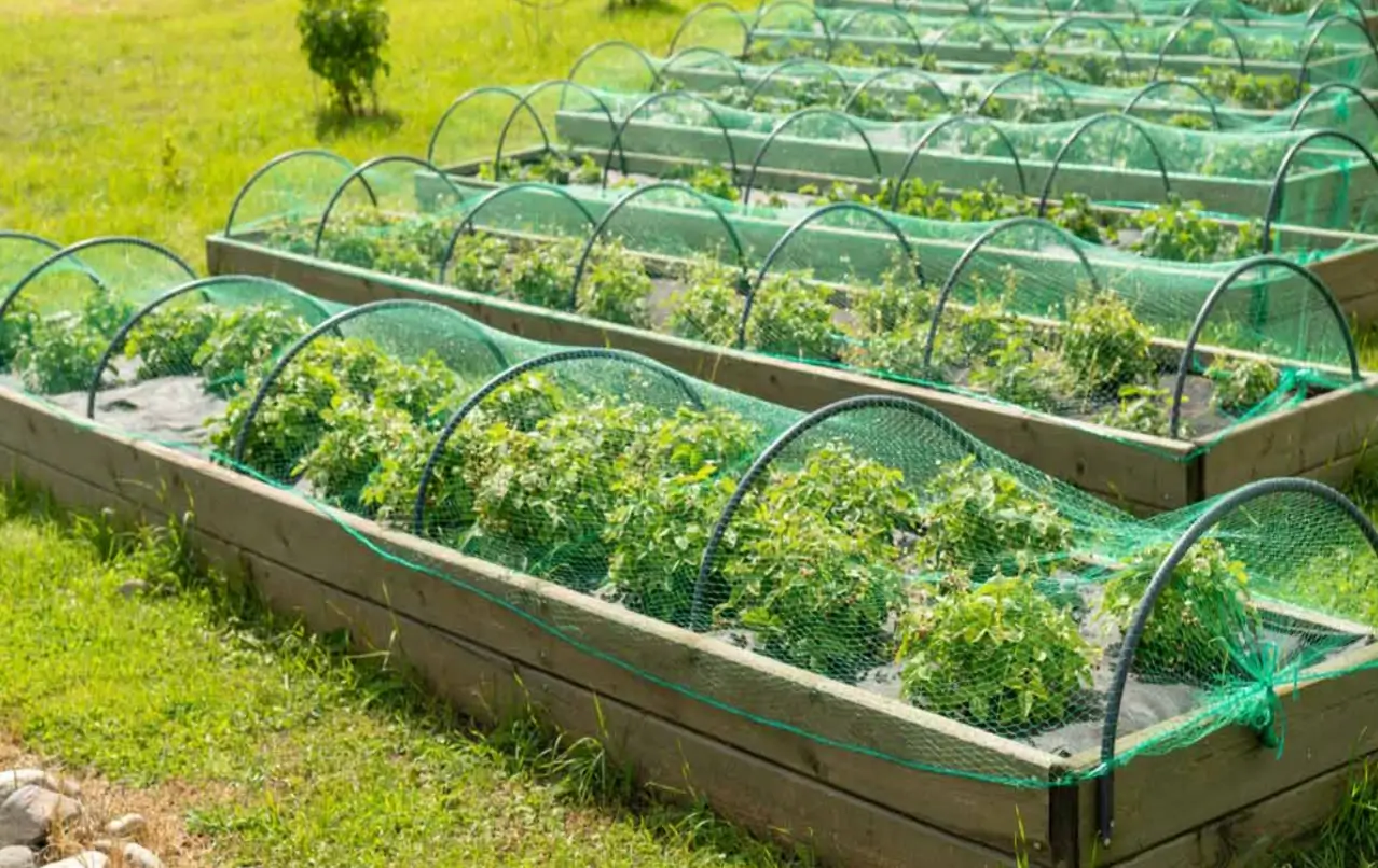 Long-Term Care & Maintenance of Netting Solutions