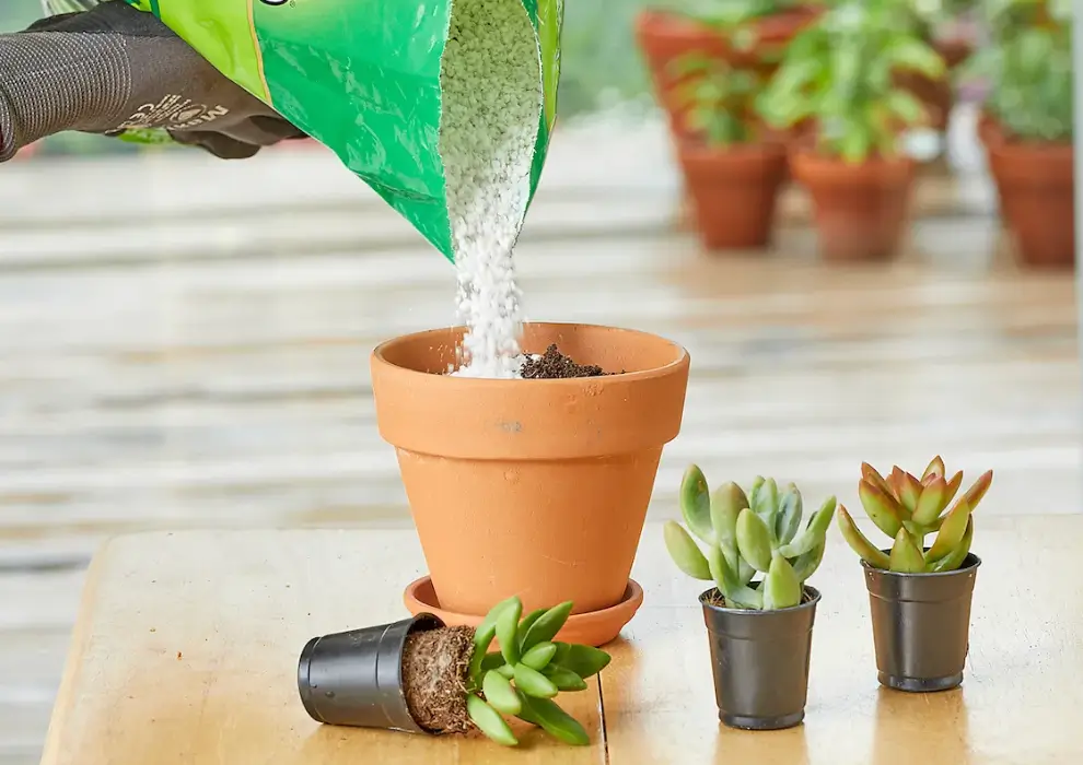 Practical Tips for Gardeners