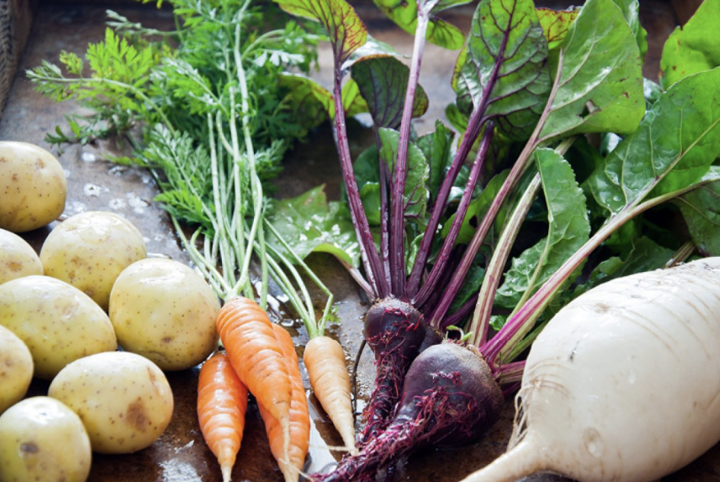 Root Crops