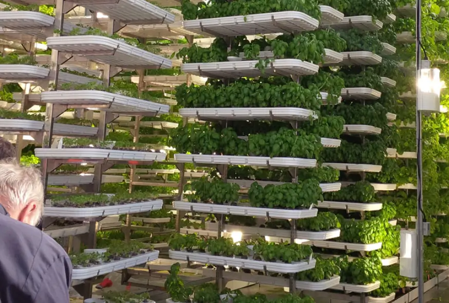 Lighting &mdash; The Heart of Indoor Plant Growth