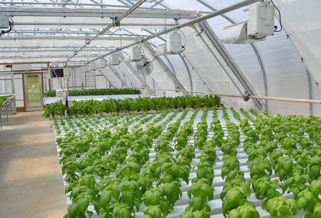 Temperature Control for Greenhouse