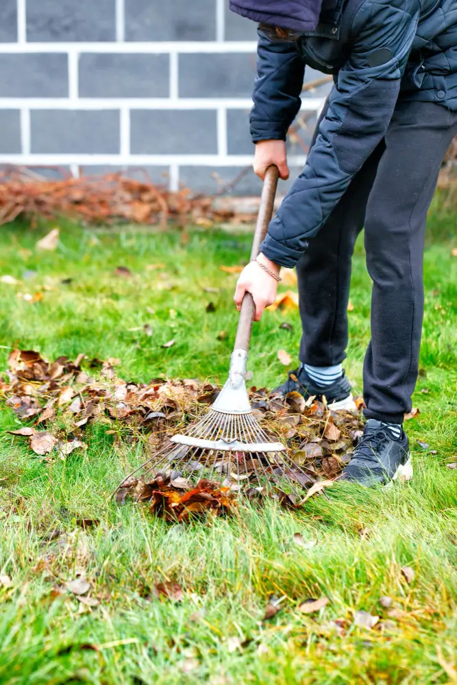 Cleaning Lawn and Garden Beds